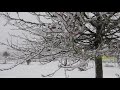 wintereinbruch mit schneesturm im hunsrück erbeskopf extremwetter deutschland