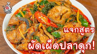 [แจกสูตร] ผัดเผ็ดปลาดุก - สูตรลับของเจ๊หมู