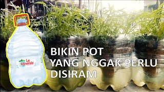 Nggak perlu nyiram tiap hari, pot sumbu tanaman dari galon bekas