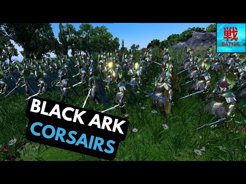 Are Black Ark Corsairs good? – Focus on the unity of the Dark Elves