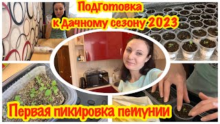 ПОДГОТОВКА К ДАЧНОМУ СЕЗОНУ 2023/ПОСЕВ ПЕТУНИИ/КАК ВЫГЛЯДИТ ПЕТУНИЯ/ПЕРВАЯ ПИКИРОВКА ПЕТУНИИ/