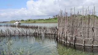 Fish kraals (fish traps) of Tonga people in Kosi Bay, South Africa