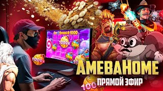 АМЕБЫ ПЫТАЮТСЯ ВЫИГРАТЬ МИЛЛИОН!!! #шортс #shorts