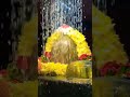 lord shiva abhishekam divine spirituality lordshiva shivling om puja traditional hinduism