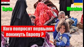 Кого попросят первыми? Украинцы теперь завидуют сирийцам? Европа борется с беженцами!