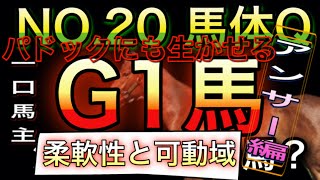 サラブレッド　一口馬主　NO.20 馬体Q　アンサー編　パドックにも生きる！！　【皐月賞馬】社台　サンデー　horse race   racehorse Japan