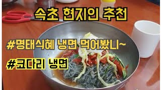 속초 현지인 추천 코다리 명태회 냉면 맛집!