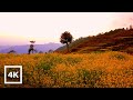 Sunset Walk in a Remote Village of Nepal - 3D AUDIO | Morning Ambience | 4K ASMR Binaural Sounds