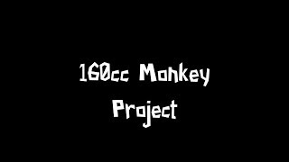 160CC YX MONKEY PROJECT/REVEAL