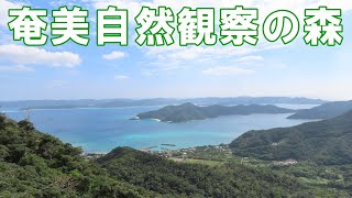 【奄美自然観察の森】奄美大島で安心して自然散策が出来る森