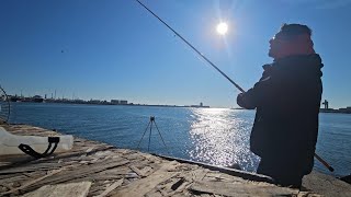 Pêche du bord de l'eau en mer Méditerranée, Loup, Daurades Royales, Janvier 2025 partie 1