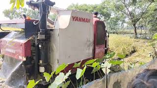 কৃষিতে আধুনিকায়ন#agriculture #development #subscribe #viralvideo #like #funny