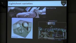 Imaging 3D Volumes in Live and Fixed Samples with lightsheet Microscopy