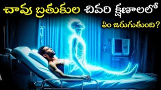 మనిషి చనిపోయే ముందు ఏం జరుగుతుందో కనుగొన్న శాస్త్రవేత్తలు | Telugu Facts | Interesting Facts | Facts