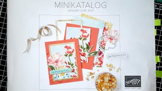 Katalog-Tour Minikatalog Frühjahr 2021 von Stamin Up | Tipps für Anfänger