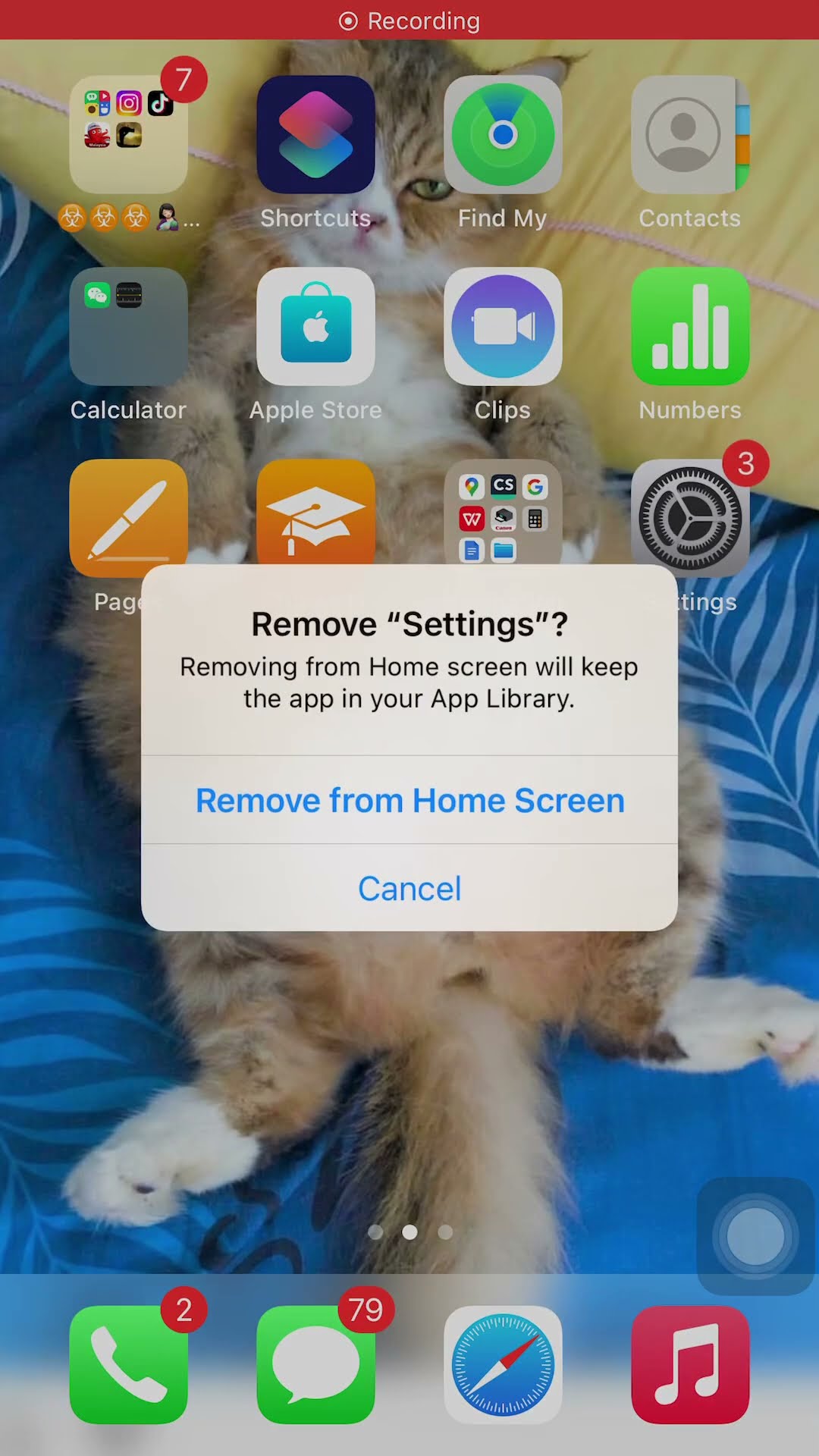 Never delete settings app...