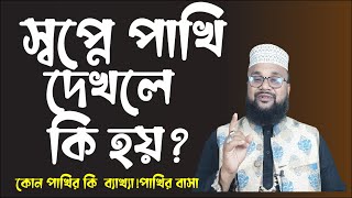 স্বপ্নে পাখি দেখলে কি হয় ! পাখির বাসা দেখলে কি হয়! Shopne pakhi dekhle ki hoy!banglar muslim