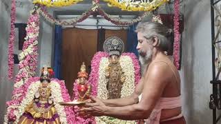 Thiruvellukai .shobhakruthu varusha  vaikasi madha ammavasai and vellikkizhamai unjal sevai🤩😍🙏🏻