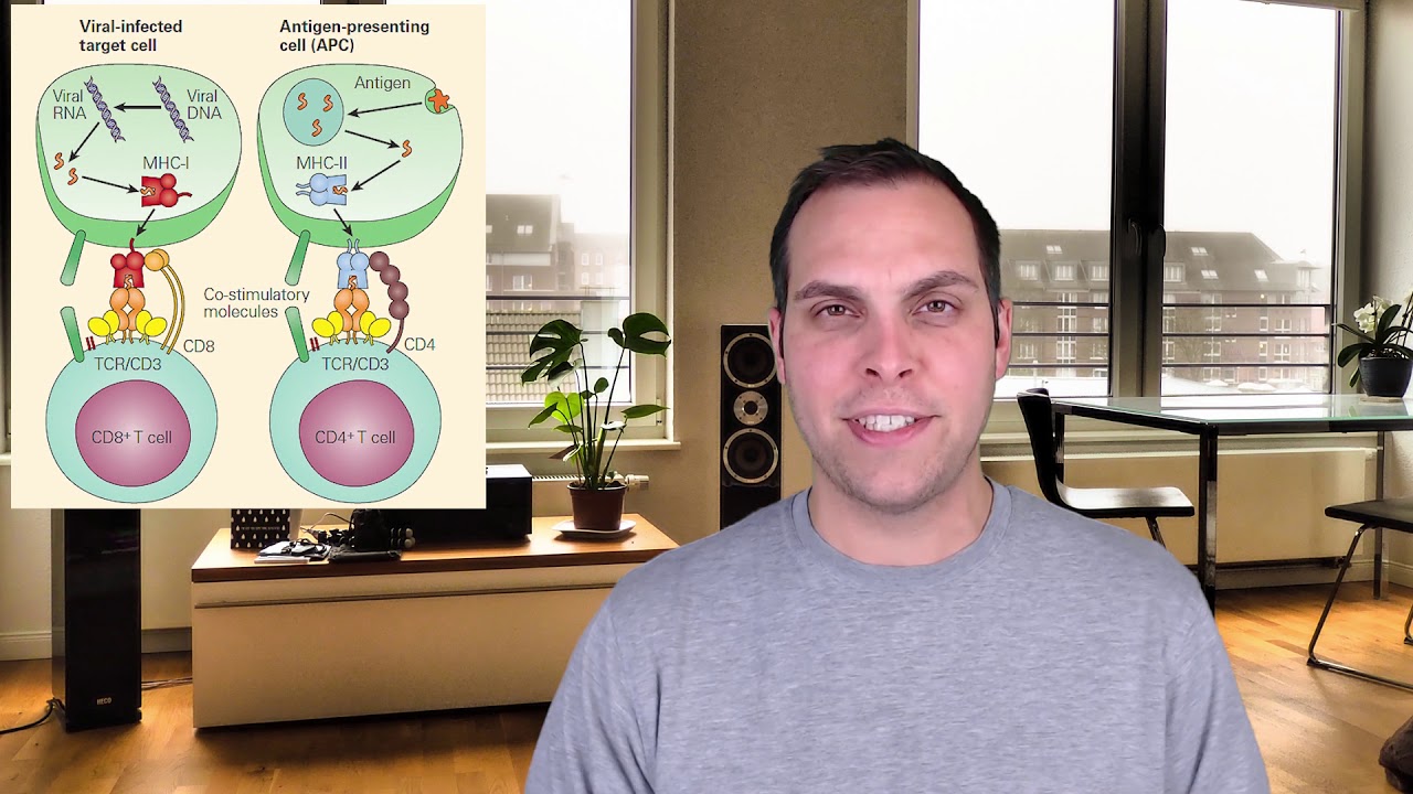 Adaptive Immunity Youtube