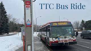 Toronto TTC 129 McCowan North Bus Ride - Scarborough Centre Station to Steeles Avenue 1/31/2025