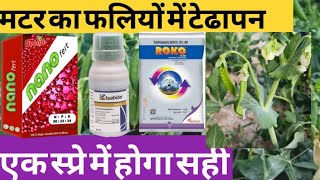 मटर में टेढ़ी-मेढ़ी फलियों को कैसे सीधा करें||matar ki kheti||pea farming||pgr||fungicide