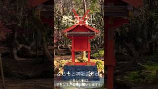 ⚠️表示されたら超強運⚠️龍王様の御力で天に昇る龍の如く運気が上昇します！#shorts #龍神様 #運気上昇 #パワースポット #遠隔参拝