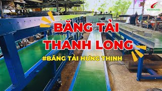 Từ Sản Xuất Đến Thi Công Lắp Đặt Băng Tải Thanh Long Cho Khách Hàng Bình Thuận