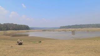 5 ಎಕರೆ record ಸೂಪರ್ ಕಾಫಿ ತೋಟ. ❤️  7 ಎಕರೆ boundry... with backwater🏞️🏞️🏞️ ಕೊಡ್ಲಿಪೇಟೆ. (coorg )(#74)