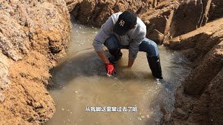 搬海边出色水坑遇大涨潮，阿辉从潮水手中抢鱼，过程比钓鱼更过瘾