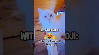 This is a 3 Second Song 🎶🌹 #viral #funny #trending #catlover #cute