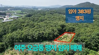 [4-81] 여주 오금동 맹지 임야 383평 매매 4600만원