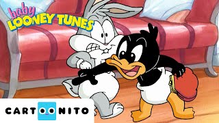 One Crazy Ducky | Baby Looney Tunes | @cartoonito