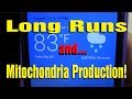 16 week marathon training program   wk 12 long run and how it affects mitochondria production