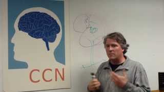 NEUROSCI 507/BME 517 Neuronal Control of Movement course intro