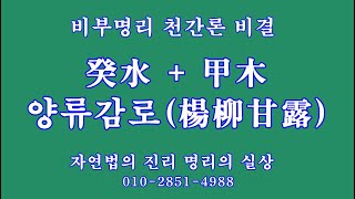 128 癸水+甲木=양류감로楊柳甘露, 비부명리 천간론