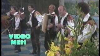 Slovenski muzikantje - Moja Dezela (1987) Alpski večer