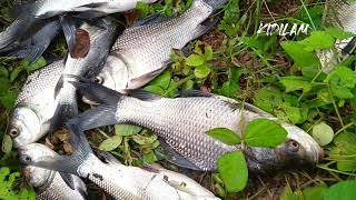 fishing/ പാറമടയിലെ മീൻപിടുത്തം