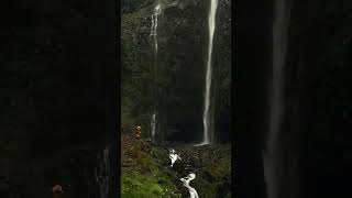 Jurassic Park Madeira #shorts #madera #4k #adventure #dinosaur #waterfall #jungle