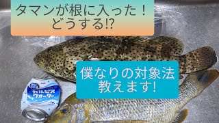 魚が根に入った!僕なりの対象法　(打ち込み釣り、タマン釣り)