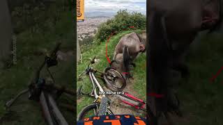 Insane Moment Mountain Biker CRASHES into Lost Horse 😲🐴