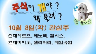 [웃지] 10월8일 관심주 - 선데이토즈, 쎄노텍, 캠시스, 현대바이오, 셀리버리, 매일유업