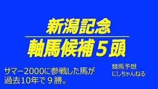 【新潟記念 2018 競馬予想】軸馬候補５頭