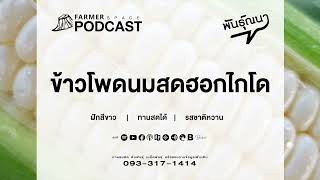 ข้าวโพดนมสดฮอกไกโด【พันธุ์ณนา】