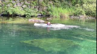 天満宮前キャンプ場　四万十川で飛び込み動画　高知県