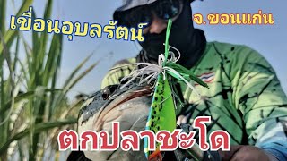 EP.9 ตกปลาชะโดเขื่อนอุบลรัตน์ จ.ขอนแก่น (Giant Snakehead fishing at Ubonrat Dam Khon Kaen Province )