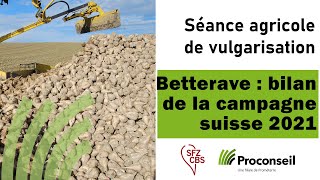 Betterave Suisse : bilan de campagne 2021 et choix variétaux 2022