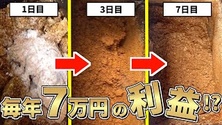 毎年7万円以上の利益⁉最新版：バイオ式生ごみ処理機で発酵マットを作ろう！