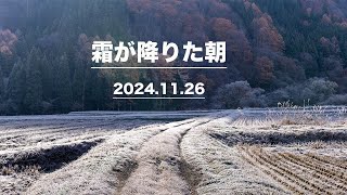 霜が降りた朝 2024 11 26