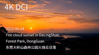 4K DCI 2022-04-24 Fire cloud sunset in DaLingShan Forest Park, DongGuan 东莞大岭山森林公园火烧云日落