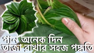 DIY How To Keep Your Betel Leaves Fresh |পান কিভাবে রাখলে অনেক দিন তাজা থাকবে